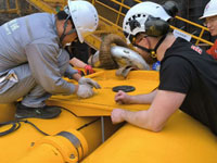 上海朗信,助力海洋石油施工建设交付波浪补偿器